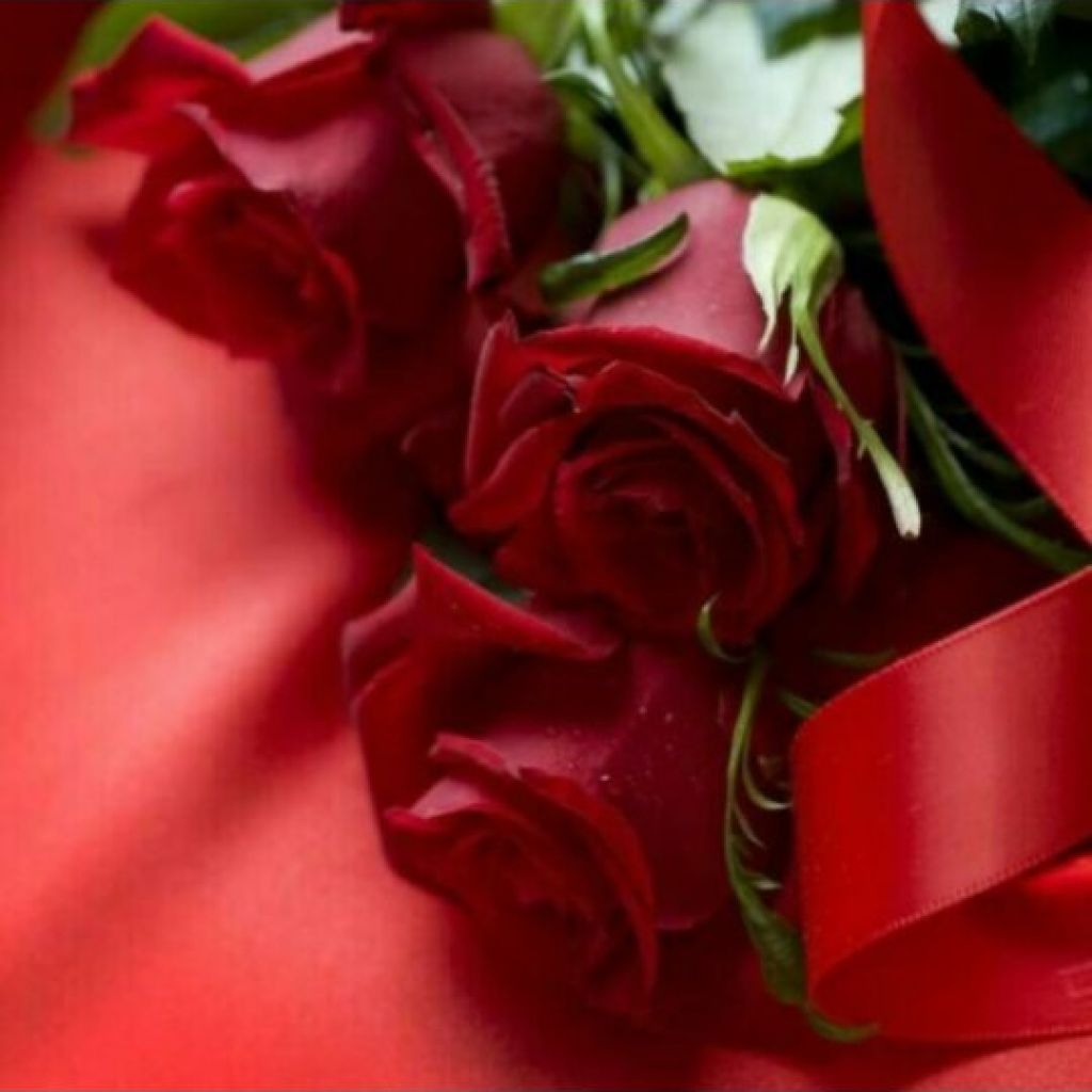 Arzummm🦋🦋🦋 from TR on Tango Live