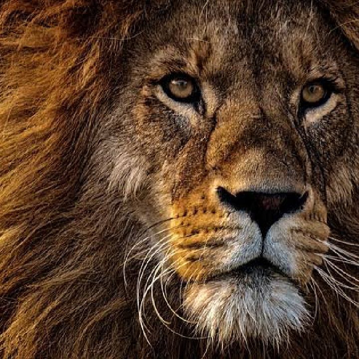 👑kral 27 ❤ from TR on Tango Live