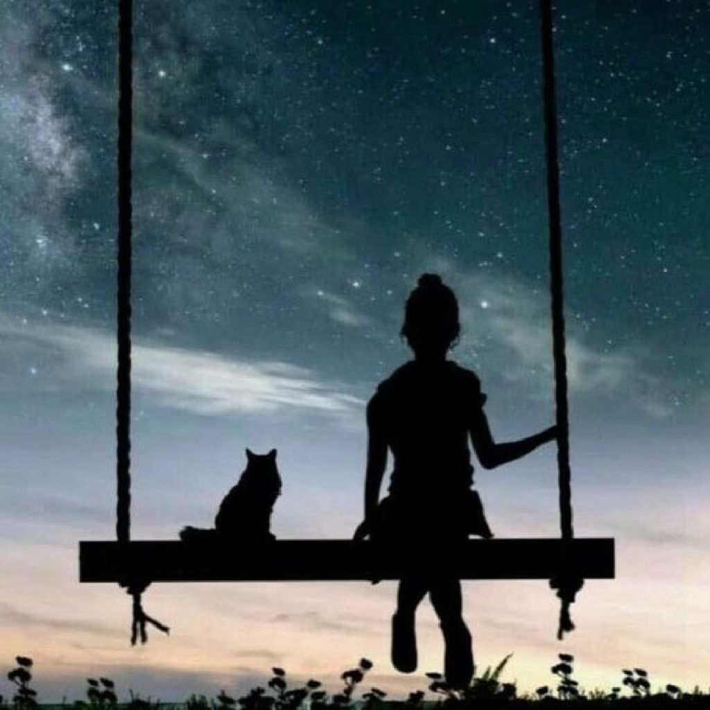 💫⚔️Tangonun Gülü⚔️💫 from TR on Tango Live