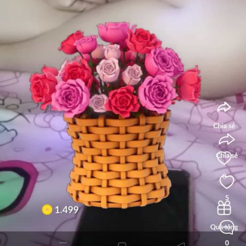 Lyly sa