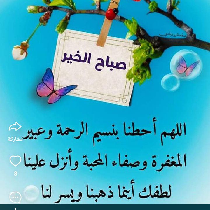 عزه نفس from EG on Tango Live