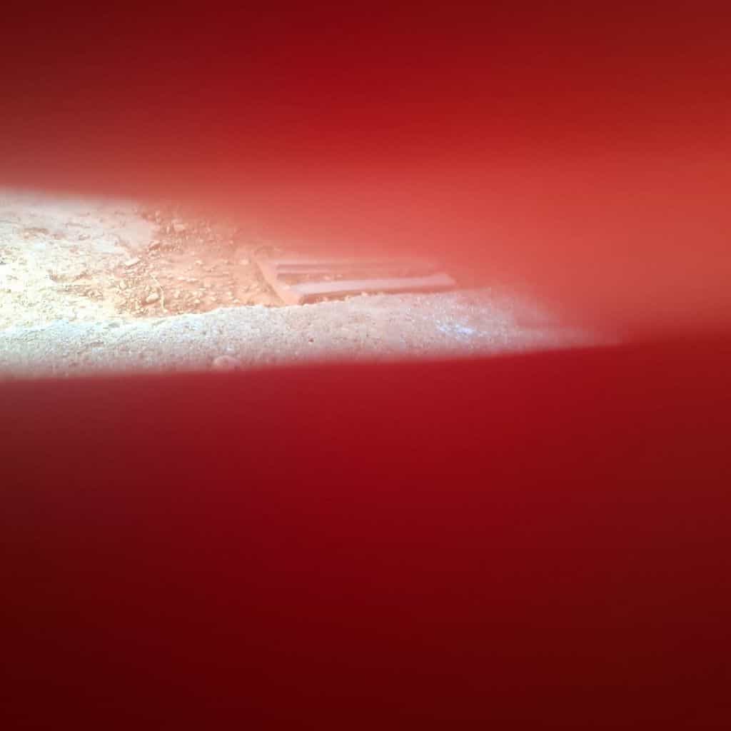 Unknown Bear