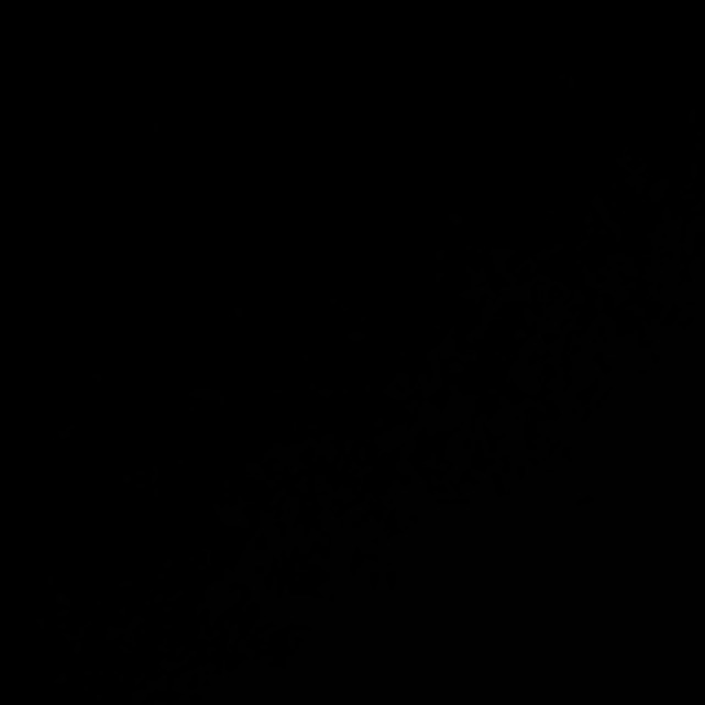 Chloe 💕 اليونا from RU on Tango Live