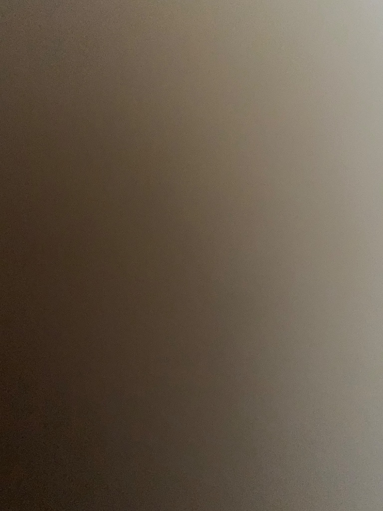 Trendy Elephant from BR on Tango Live