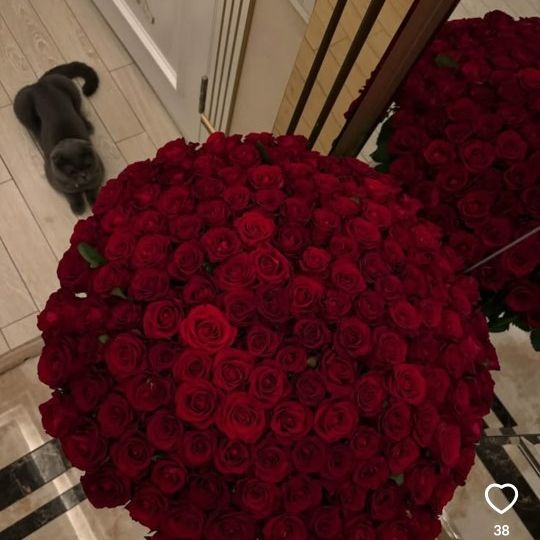 Nunu virtual😌 from AZ on Tango Live