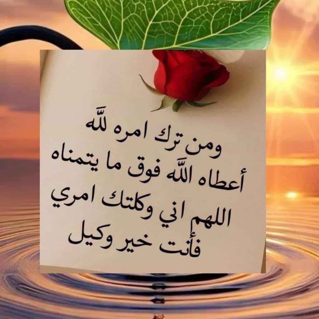 👑 مليكه 🧿