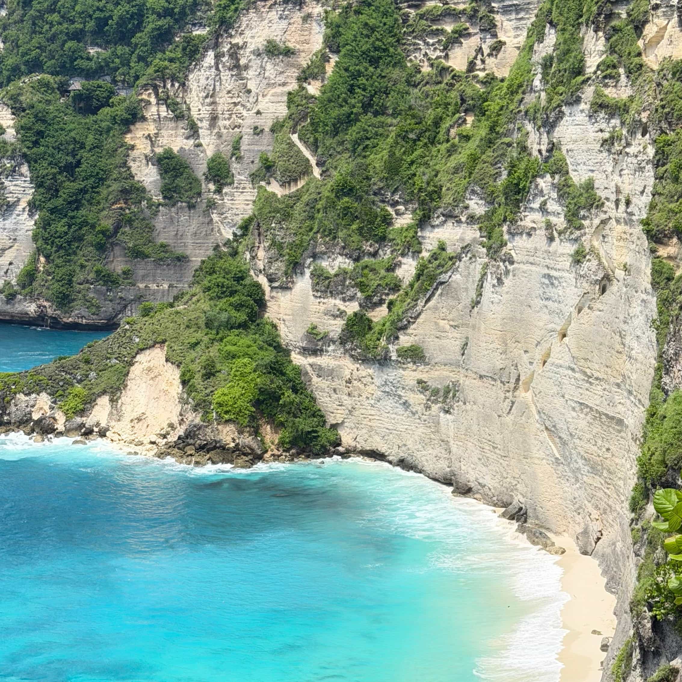 🥤❗️404