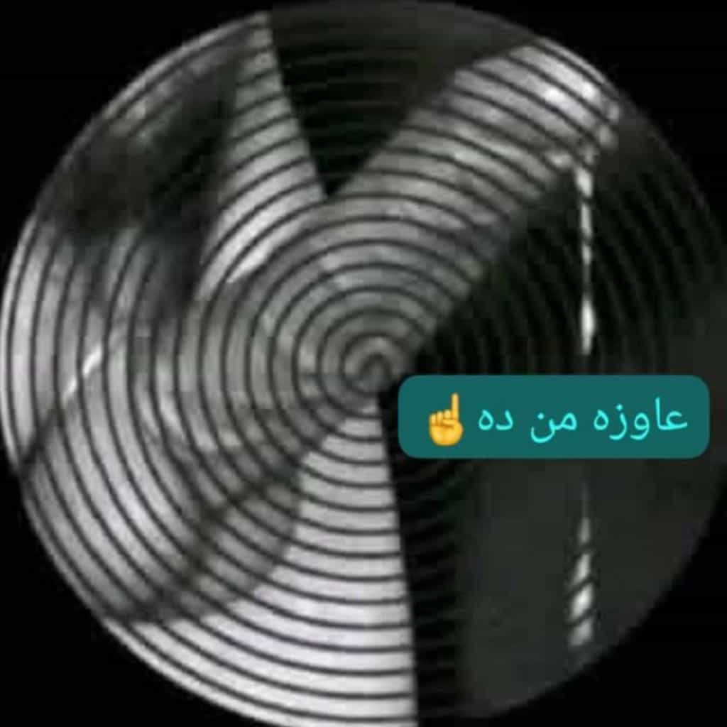 عم المجال كله