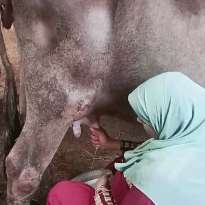 بلدي وصاحبتها خبره السنين 🔥