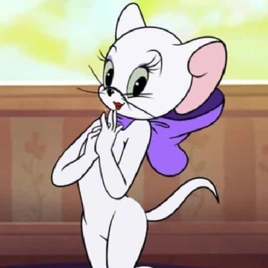Catooo