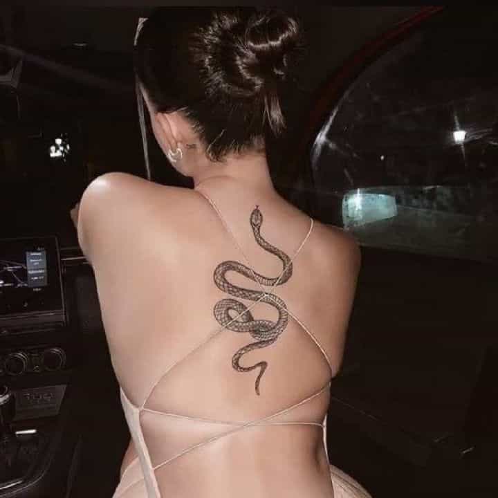 شيميل صغونه عنيفه