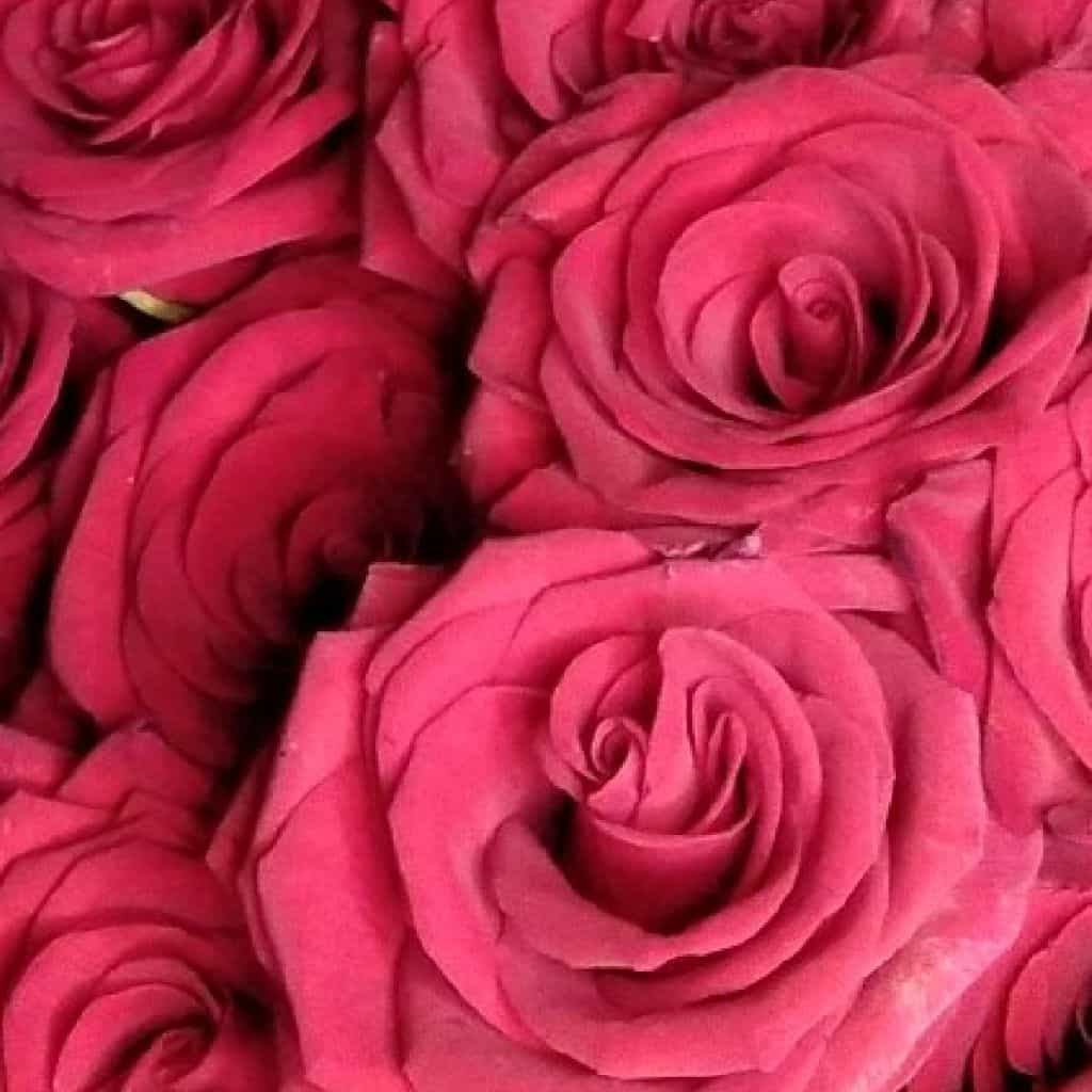 🎀