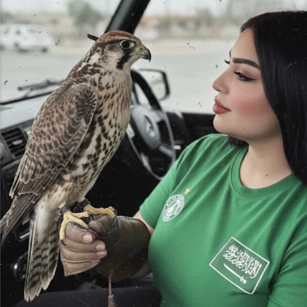 الفارقه 🤚🏻