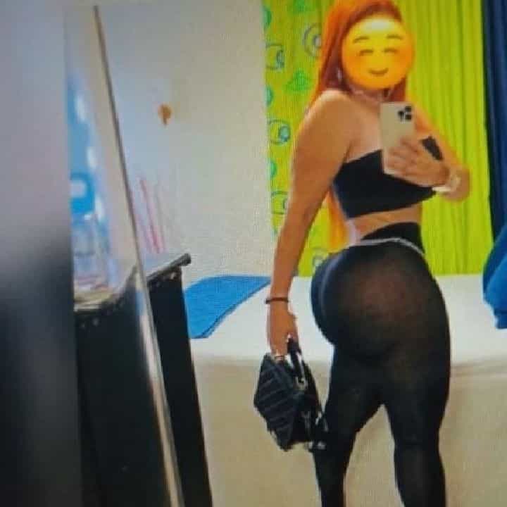 Trans anaconda 🐍