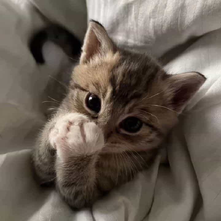 Tina