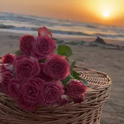 فرولة