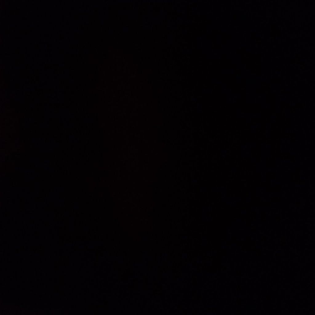 Night Wing Bat from MD on Tango Live