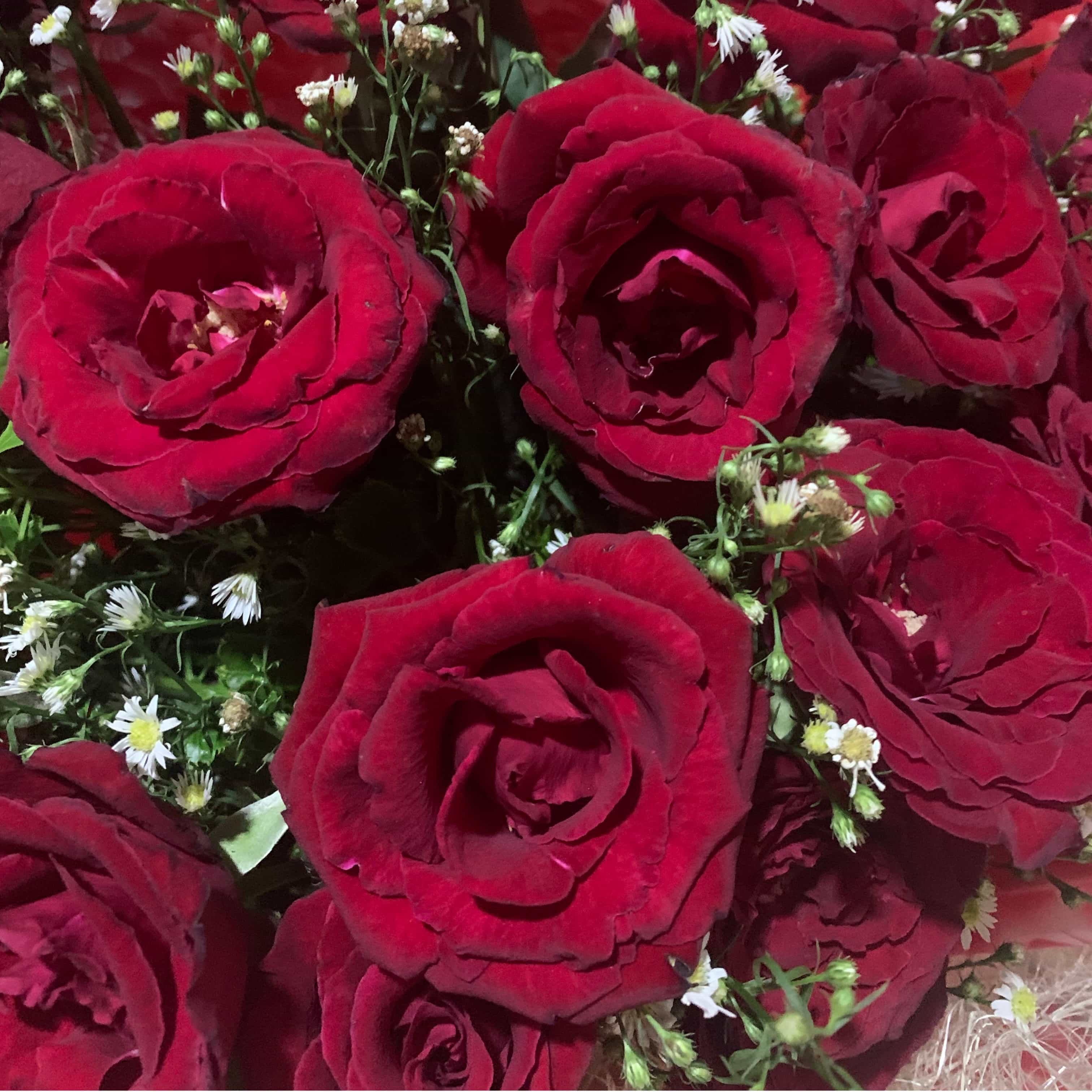 🌹