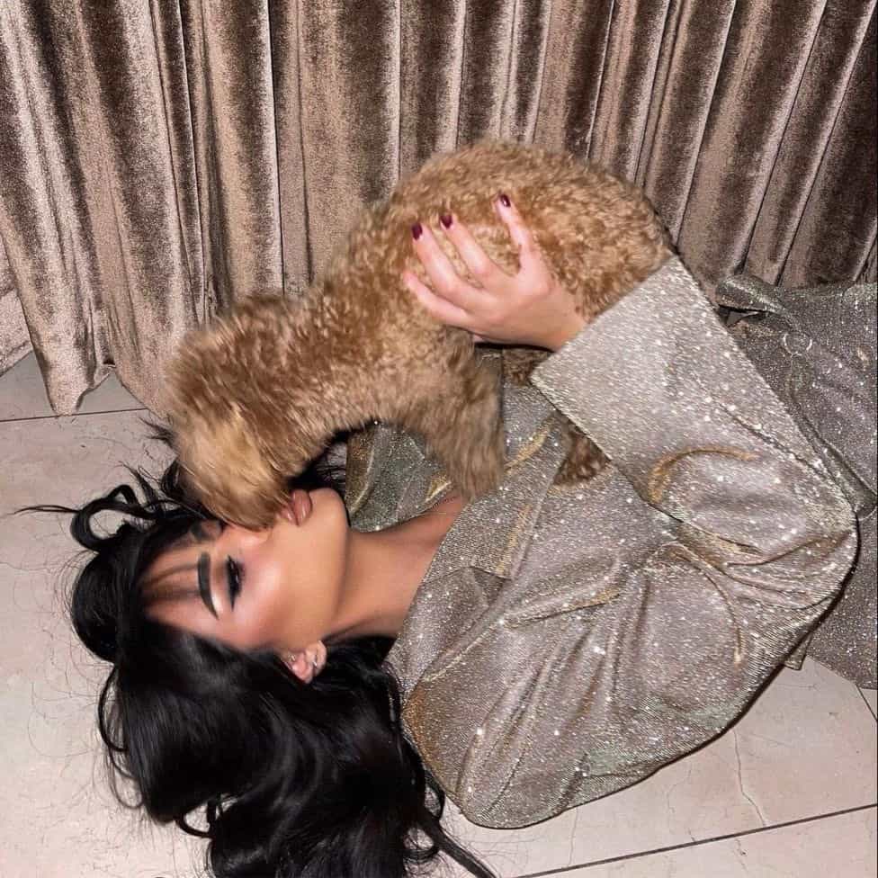 AyuShe 🐾