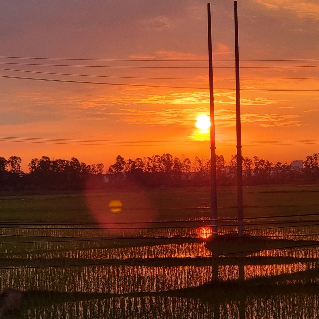 A Đông tivi from VN on Tango Live