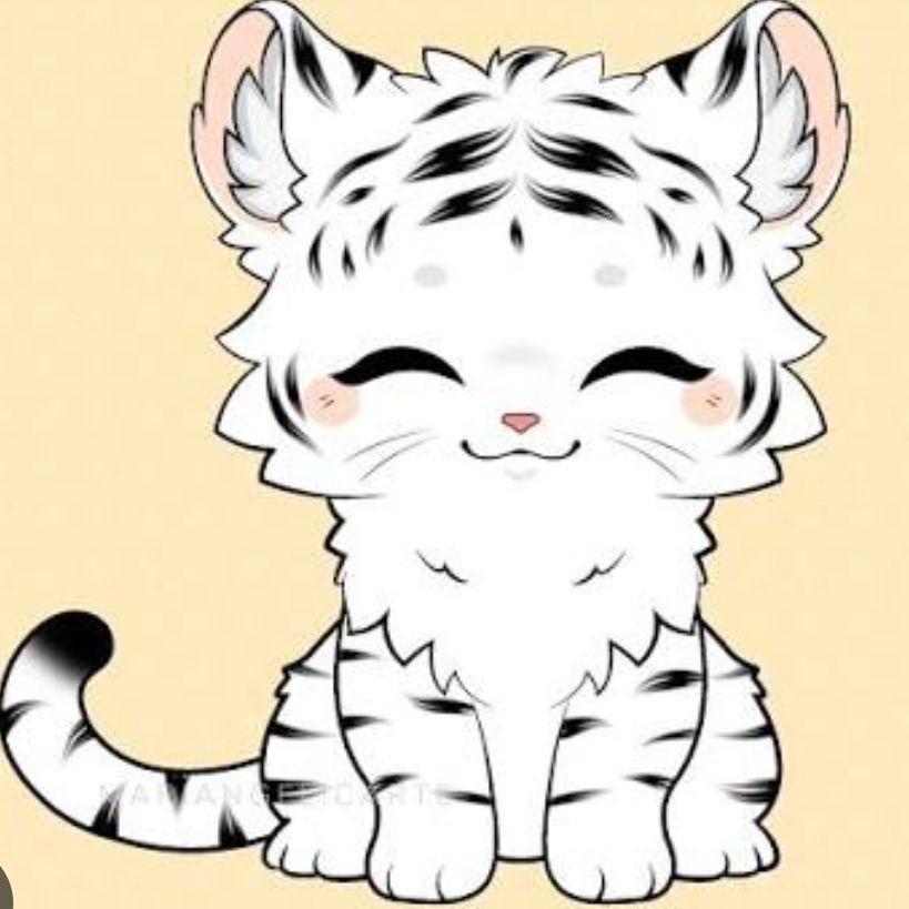 🐅 from CO on Tango Live