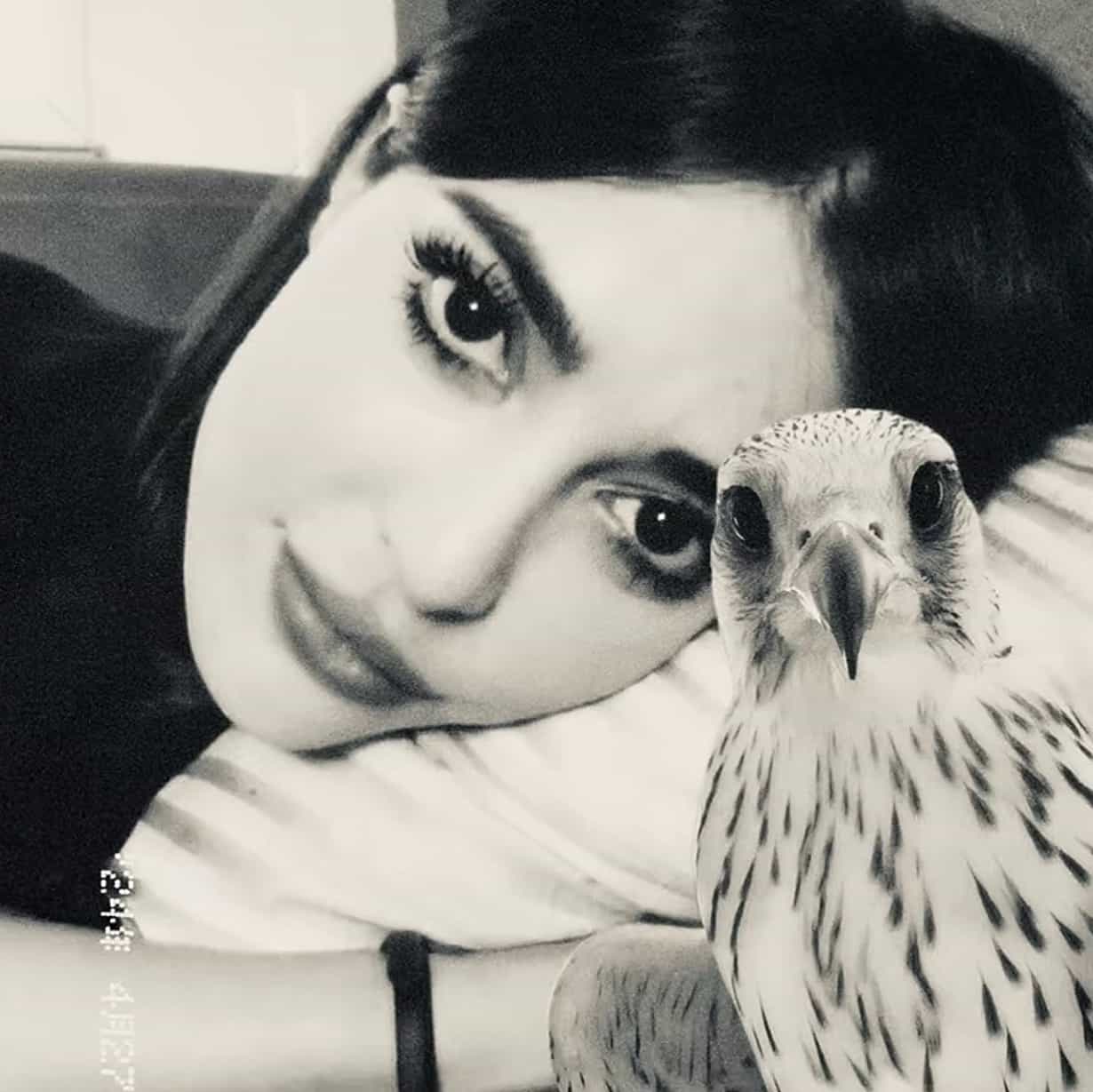 عذوُب 🦌