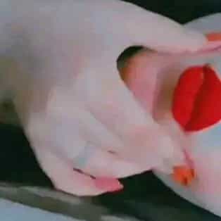Sousou majnona