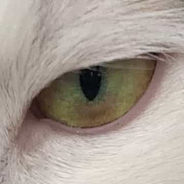 ❤️eee ⁶⁹