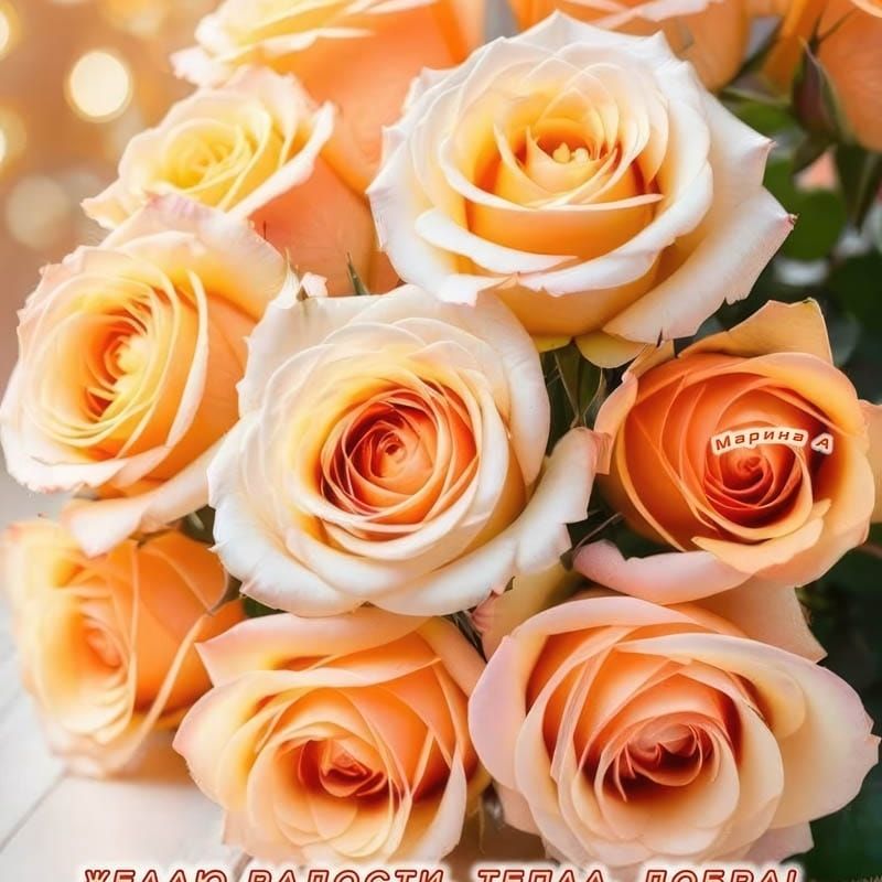 Дашуля from RU on Tango Live