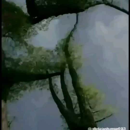 İkhjyrotly.outgyr