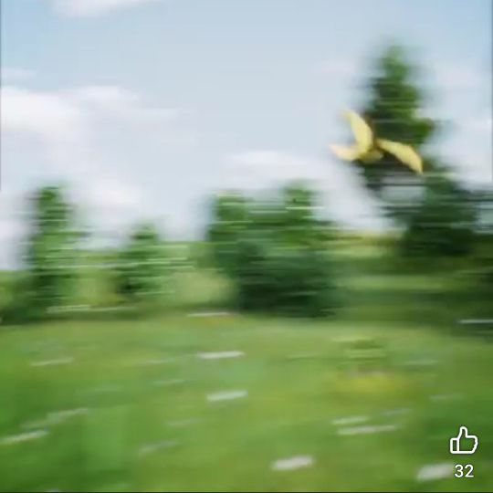 Shogun Dog from UA on Tango Live