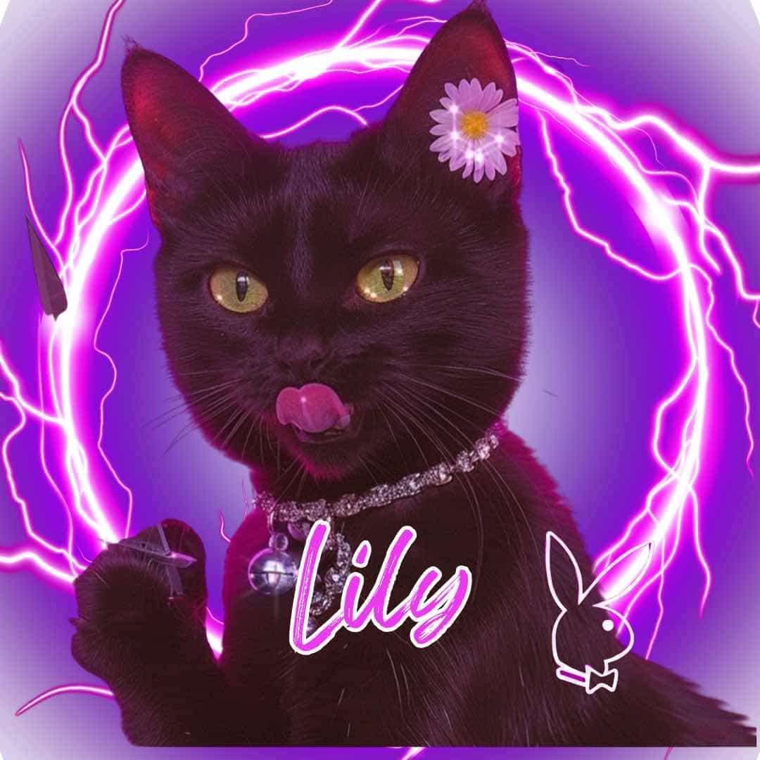 Lily