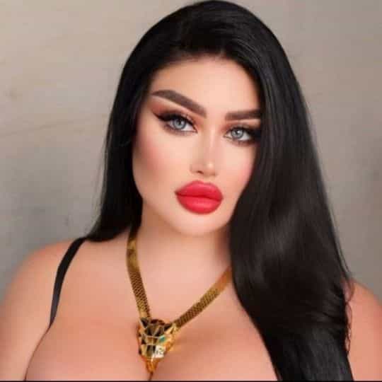 شيميل ترويض ٢٠ سانتي