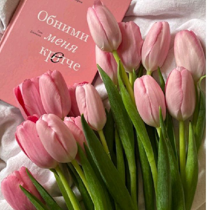 Tulip from ID on Tango Live