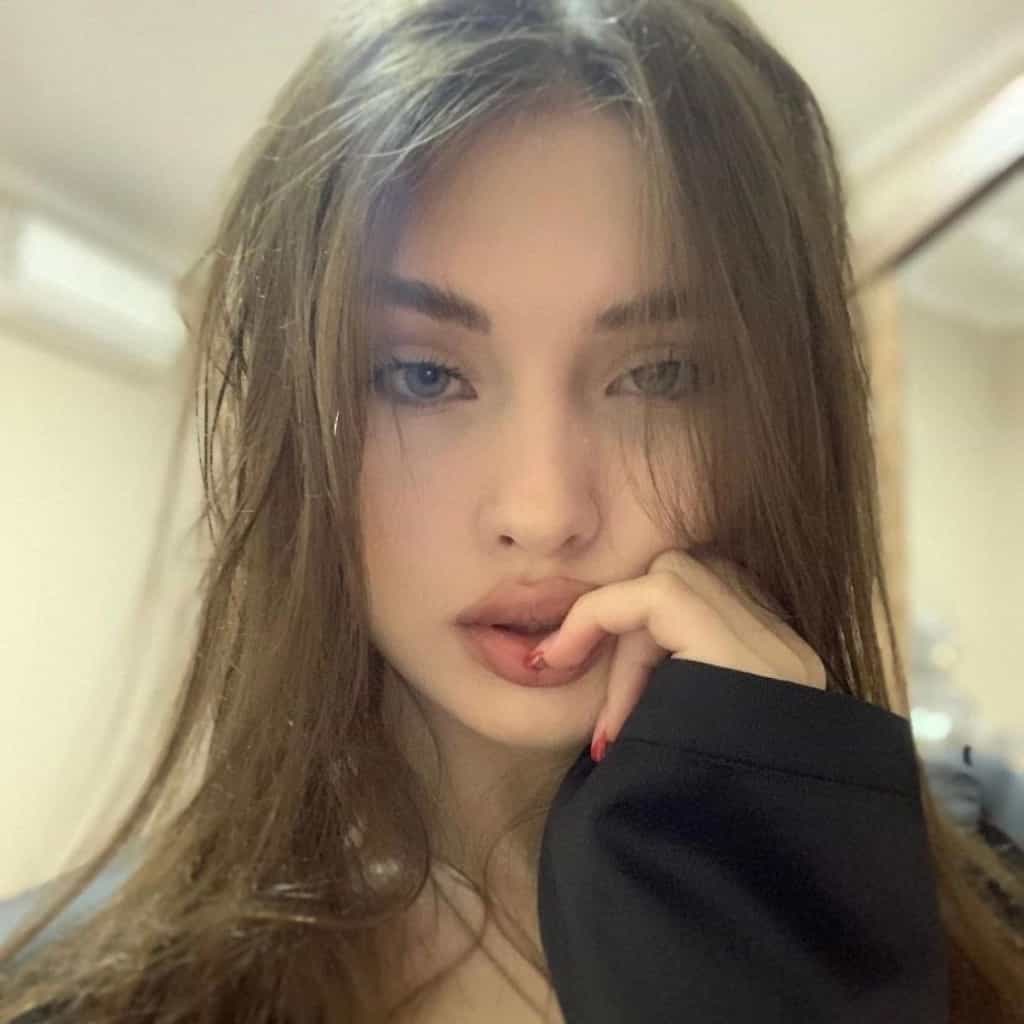 Pretty Koala