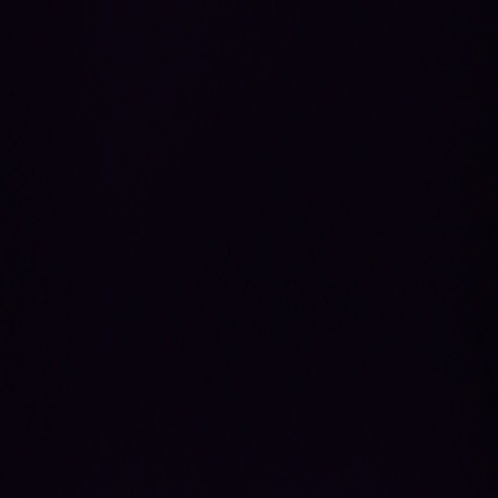 Unknown Bear from GE on Tango Live