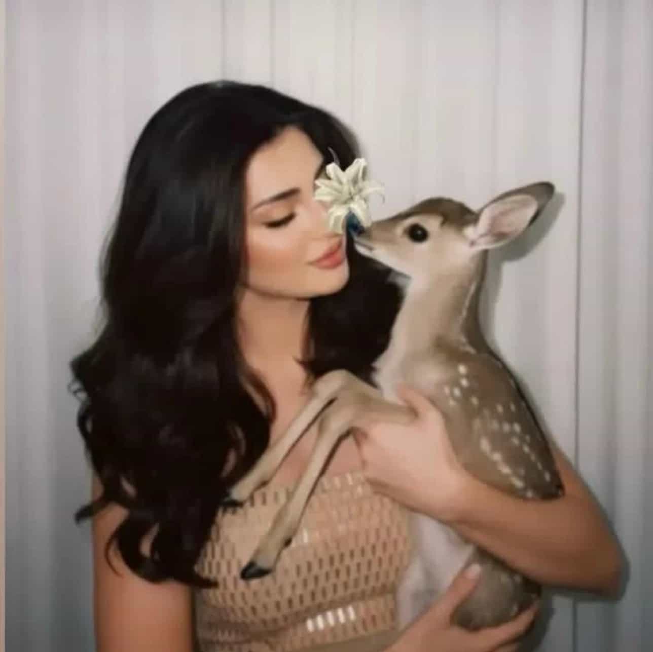 مـي🦌