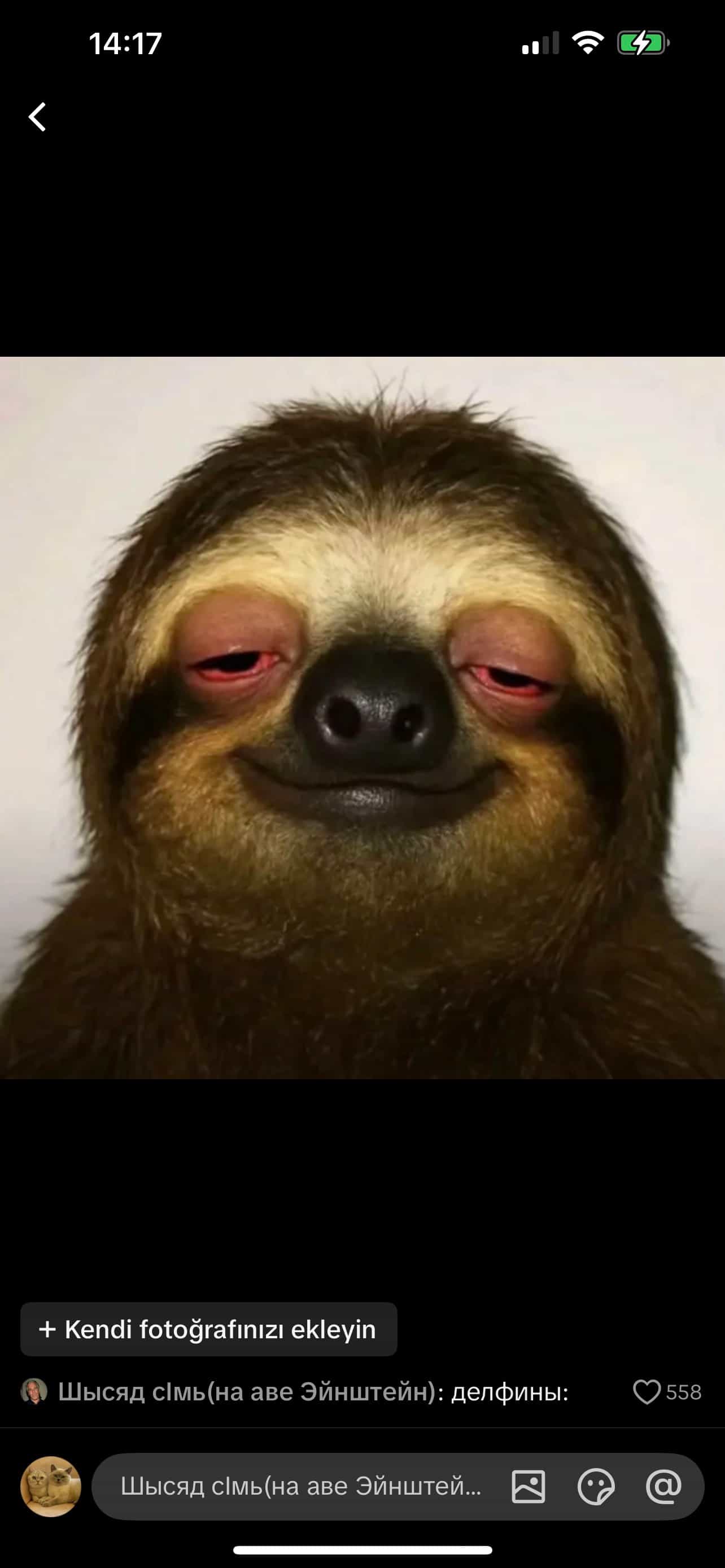 ZOE