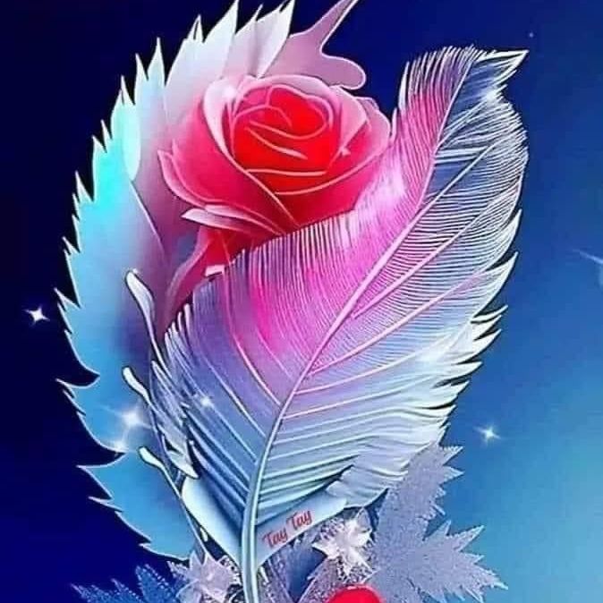 برينس from TR on Tango Live