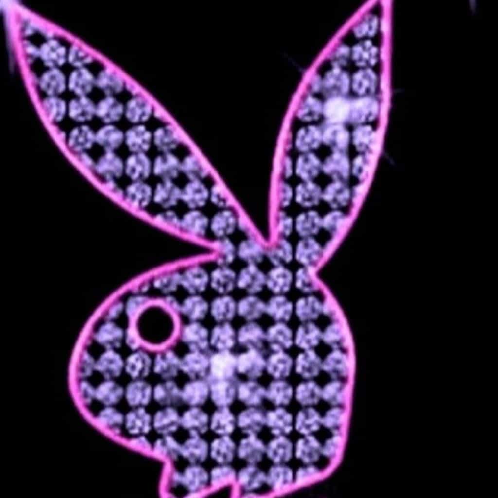 69🍑🐇