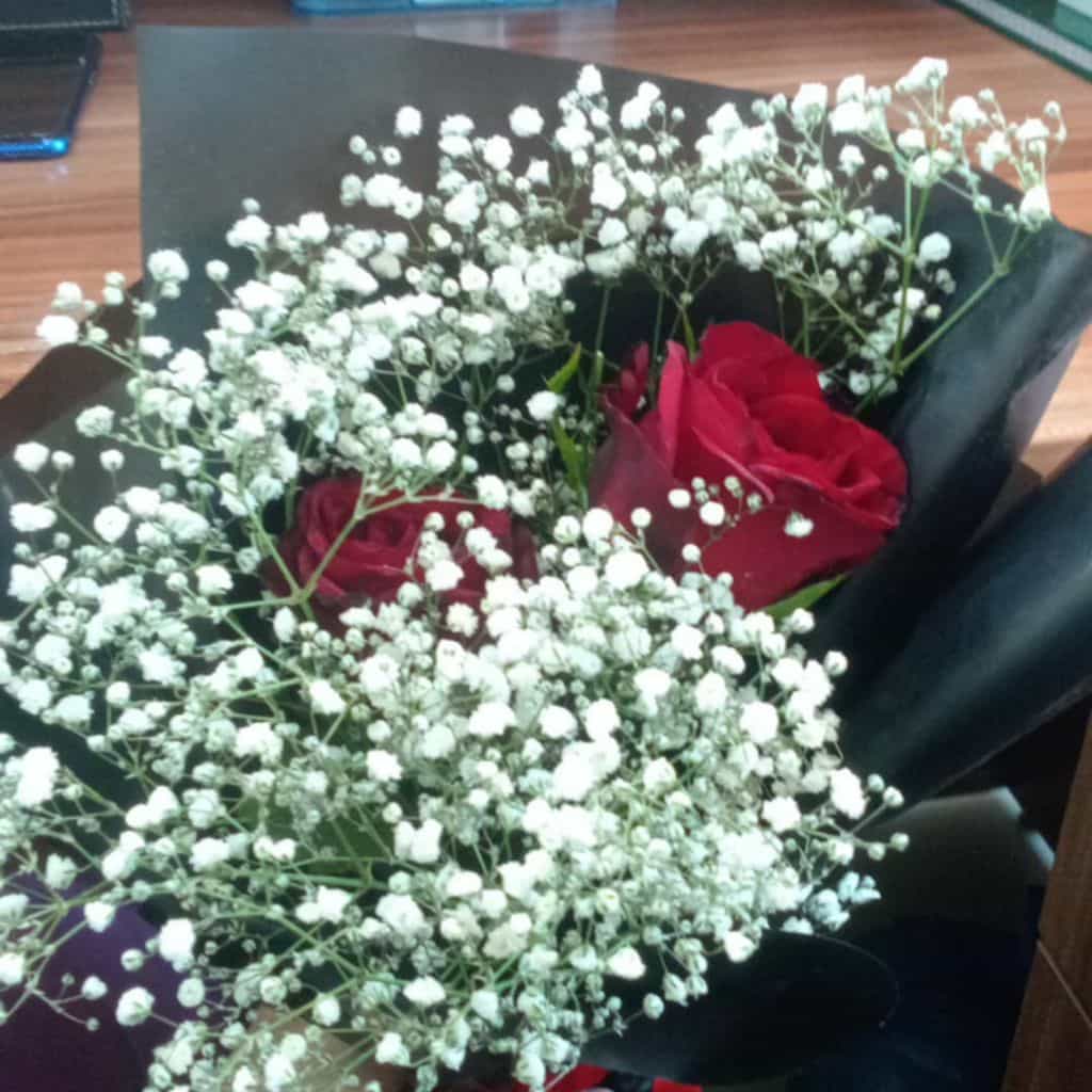 شمس,🌹 shams