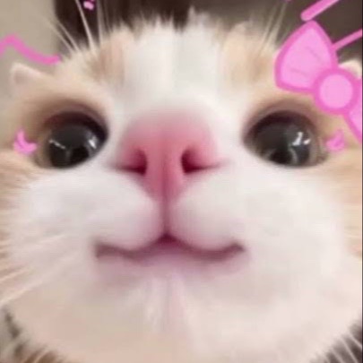 asian girl from ID on Tango Live