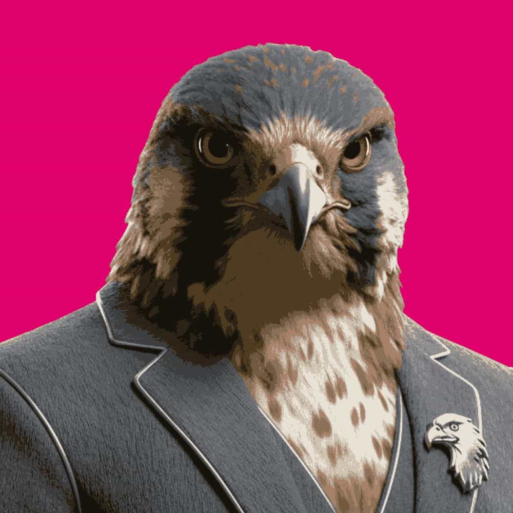 Saber Kestrel