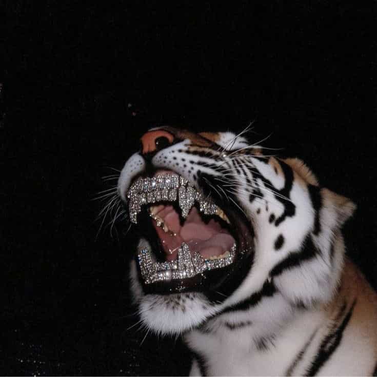 ©️