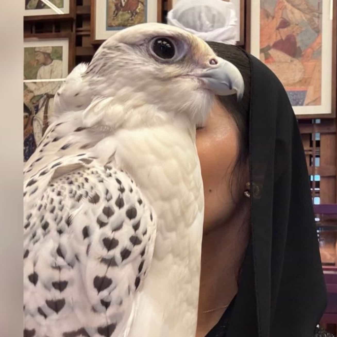 رزونة🤍🌷