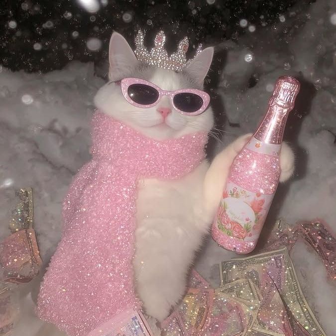 Princess on Tango Live