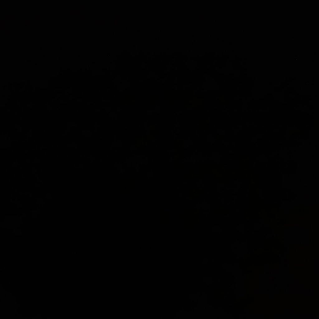 LEONA from PL on Tango Live