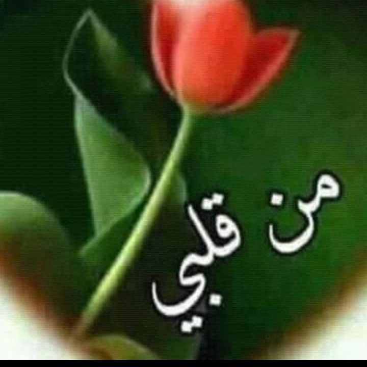 دودي دي انا from EG on Tango Live