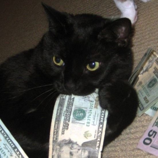 Black cat from RU on Tango Live