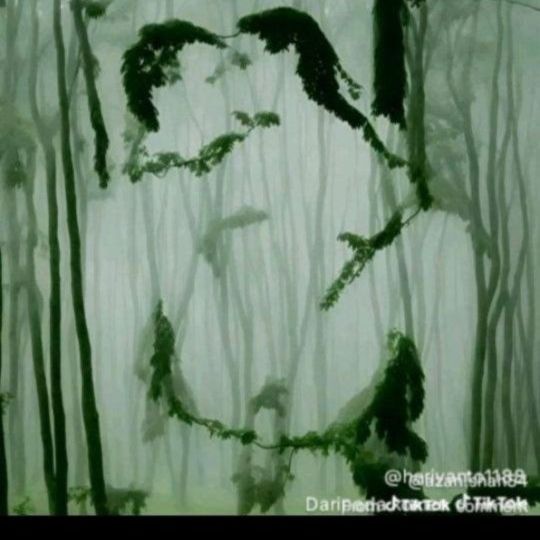 عسل سايح🤍 on Tango Live